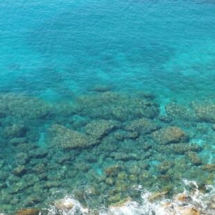 Mare, acque più trasparenti dopo il lockdown